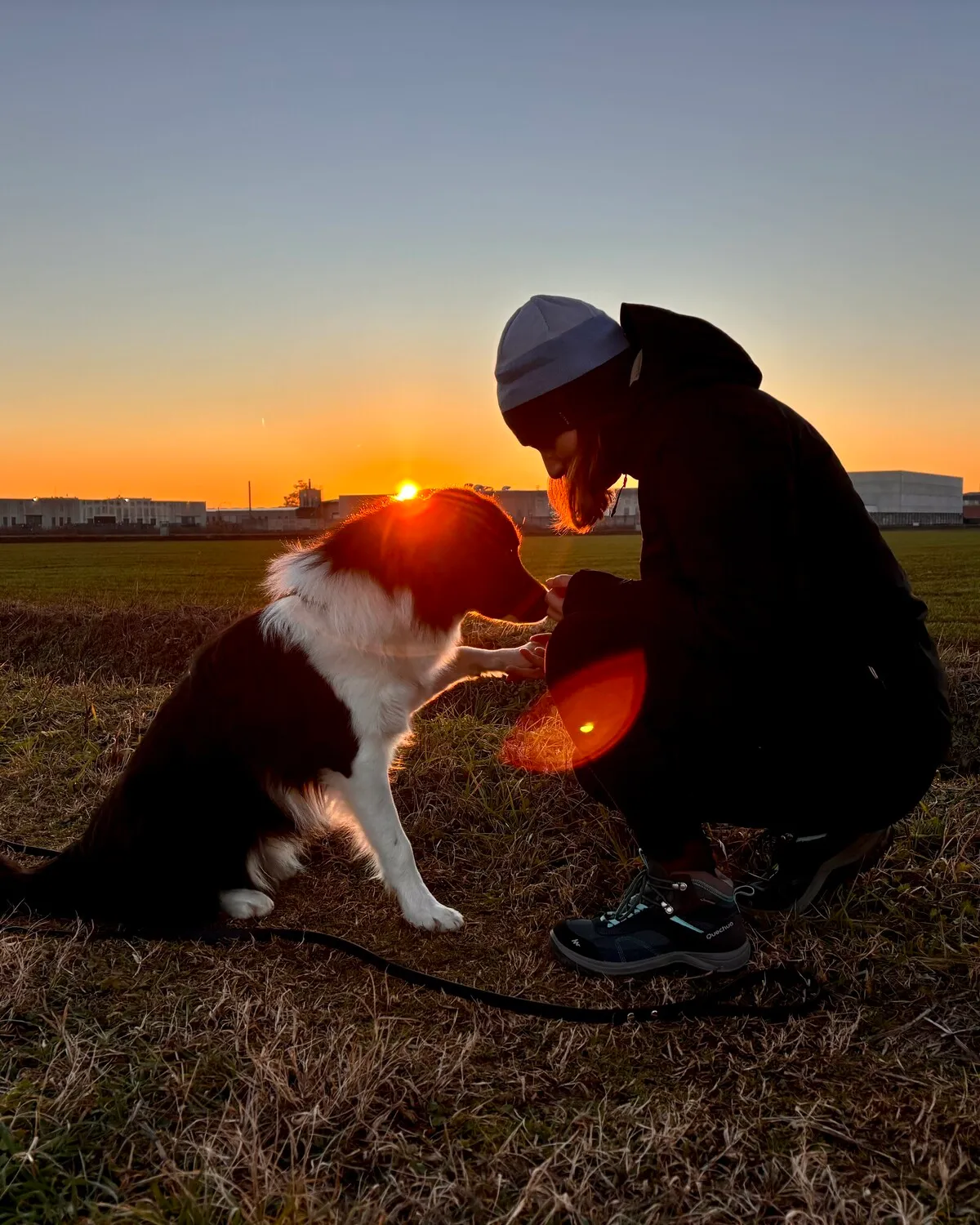 Io seduta in un campo al tramonto, in controluce, con un cane seduto davanti a me