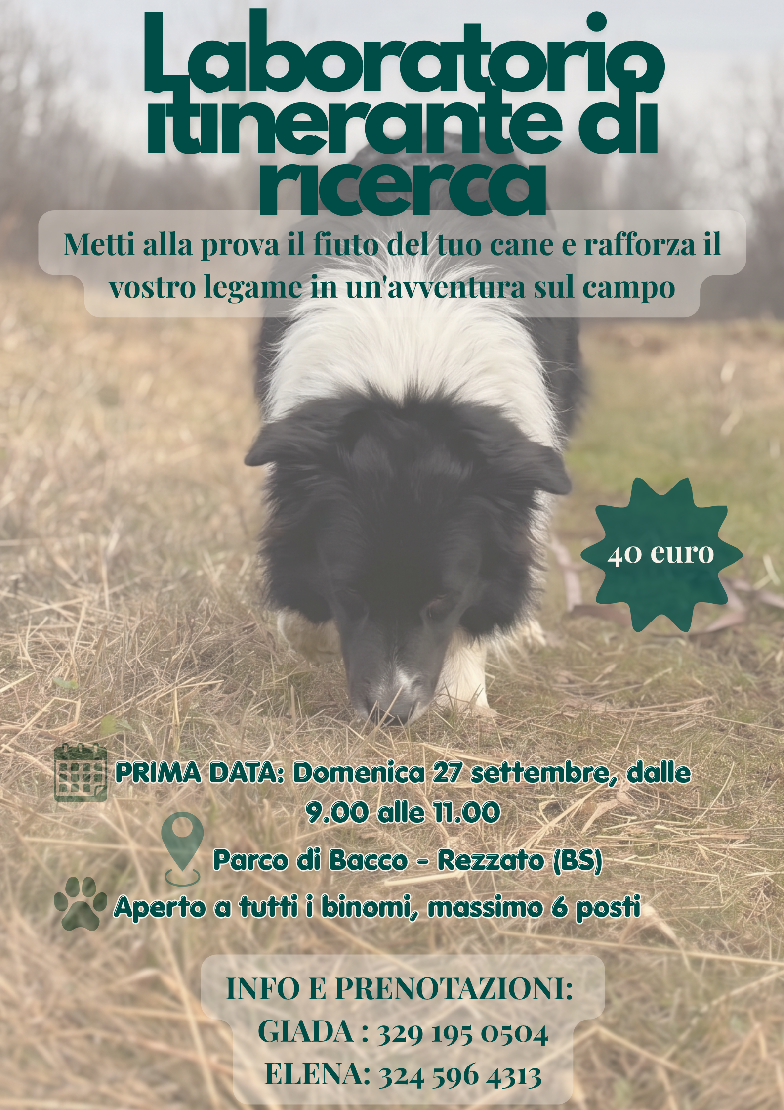 Locandina laboratorio itinerante di ricerca